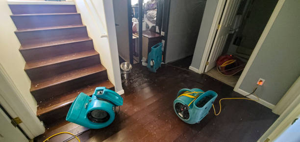 Water damage restoration mold remediation in South Dos Palos, CA