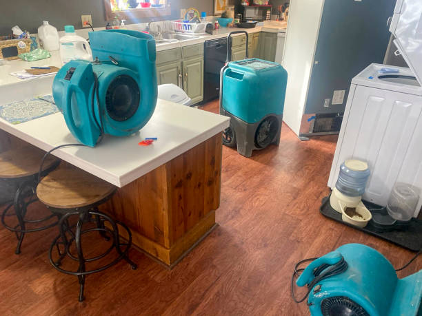 South Dos Palos, CA Water damage restoration Company