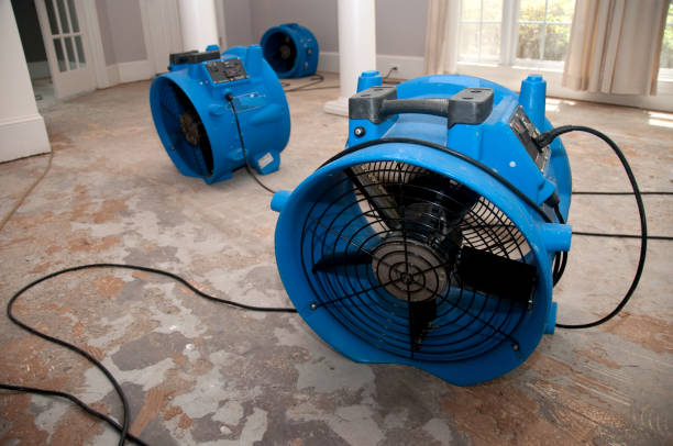 Best Fire Damage Restoration  in South Dos Palos, CA