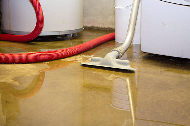 Best Residential water damage restoration  in South Dos Palos, CA