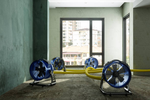Best Sewage cleanup and water damage restoration  in South Dos Palos, CA