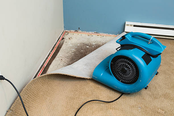 Best Ceiling water damage repair  in South Dos Palos, CA